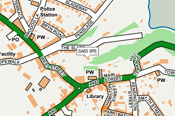 SA65 9PE map - OS OpenMap – Local (Ordnance Survey)