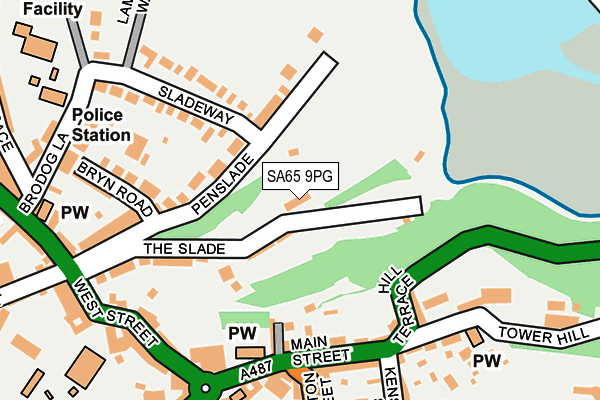 SA65 9PG map - OS OpenMap – Local (Ordnance Survey)