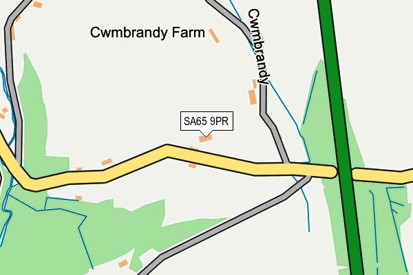 SA65 9PR map - OS OpenMap – Local (Ordnance Survey)