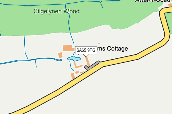 SA65 9TG map - OS OpenMap – Local (Ordnance Survey)