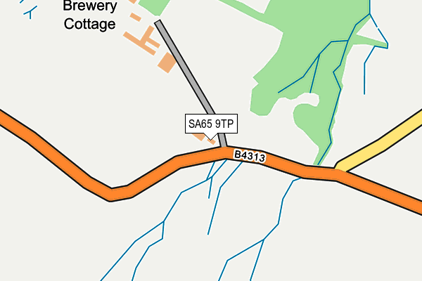 SA65 9TP map - OS OpenMap – Local (Ordnance Survey)