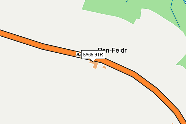 SA65 9TR map - OS OpenMap – Local (Ordnance Survey)