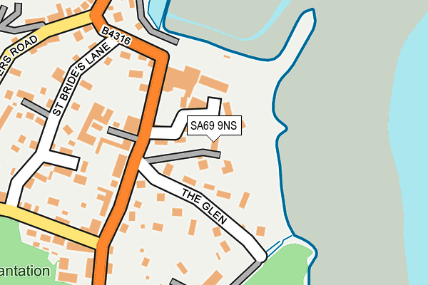 SA69 9NS map - OS OpenMap – Local (Ordnance Survey)