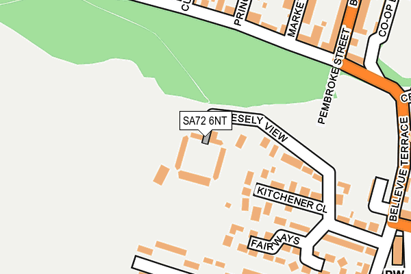 SA72 6NT map - OS OpenMap – Local (Ordnance Survey)