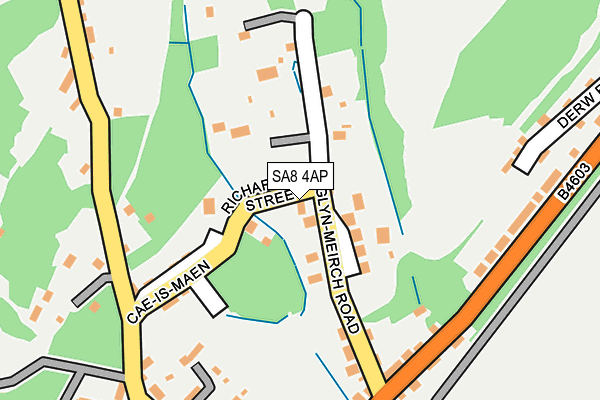 SA8 4AP map - OS OpenMap – Local (Ordnance Survey)