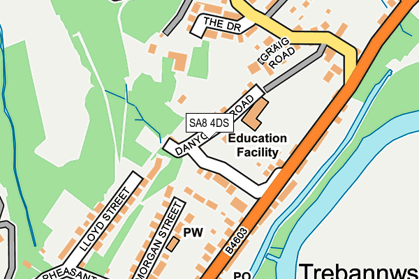 SA8 4DS map - OS OpenMap – Local (Ordnance Survey)