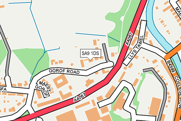 SA9 1DS map - OS OpenMap – Local (Ordnance Survey)