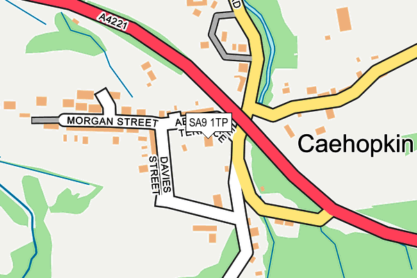 SA9 1TP map - OS OpenMap – Local (Ordnance Survey)