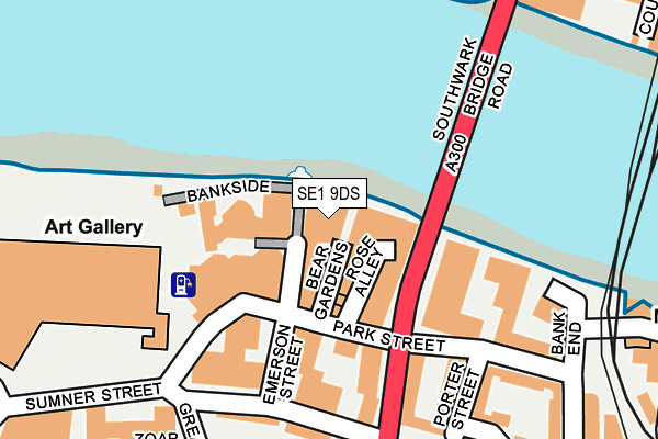 SE1 9DS map - OS OpenMap – Local (Ordnance Survey)