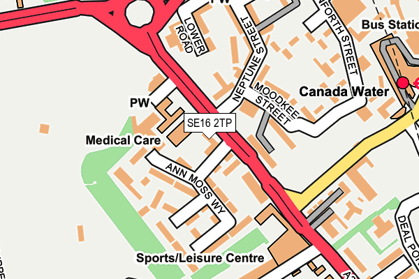 SE16 2TP map - OS OpenMap – Local (Ordnance Survey)