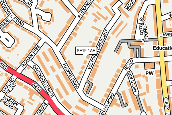 SE19 1AE map - OS OpenMap – Local (Ordnance Survey)