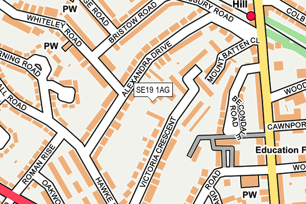 SE19 1AG map - OS OpenMap – Local (Ordnance Survey)