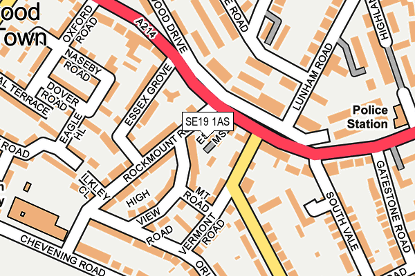 SE19 1AS map - OS OpenMap – Local (Ordnance Survey)