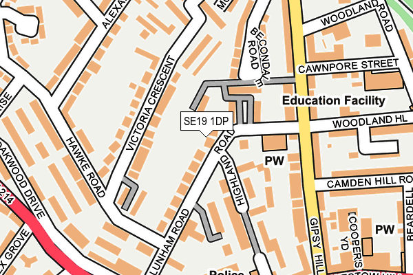 SE19 1DP map - OS OpenMap – Local (Ordnance Survey)