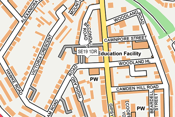 SE19 1DR map - OS OpenMap – Local (Ordnance Survey)