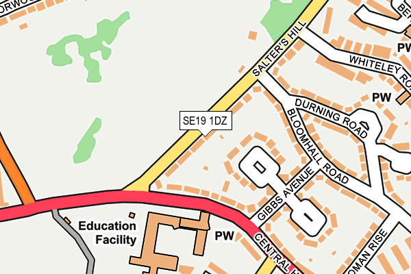 SE19 1DZ map - OS OpenMap – Local (Ordnance Survey)
