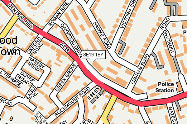 SE19 1EY map - OS OpenMap – Local (Ordnance Survey)