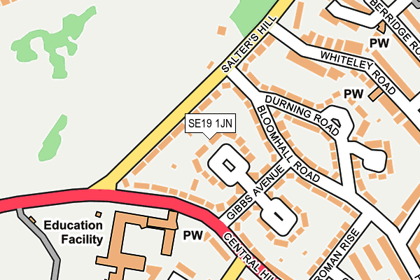 SE19 1JN map - OS OpenMap – Local (Ordnance Survey)