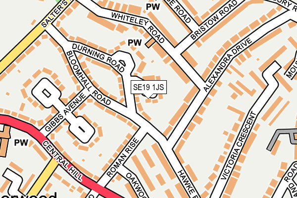 SE19 1JS map - OS OpenMap – Local (Ordnance Survey)