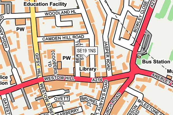 SE19 1NS map - OS OpenMap – Local (Ordnance Survey)