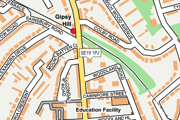 SE19 1PJ map - OS OpenMap – Local (Ordnance Survey)