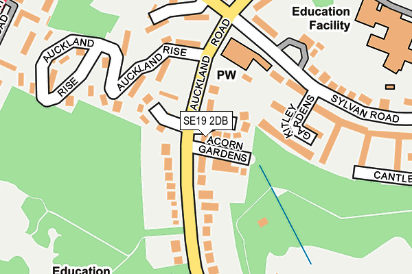 SE19 2DB map - OS OpenMap – Local (Ordnance Survey)