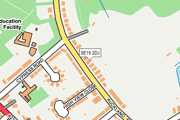 SE19 2DJ map - OS OpenMap – Local (Ordnance Survey)