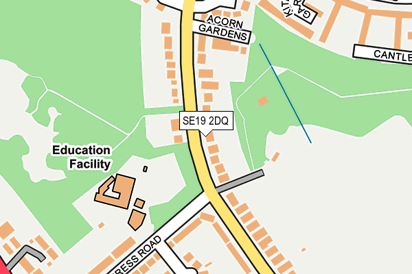 SE19 2DQ map - OS OpenMap – Local (Ordnance Survey)