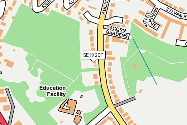 SE19 2DT map - OS OpenMap – Local (Ordnance Survey)