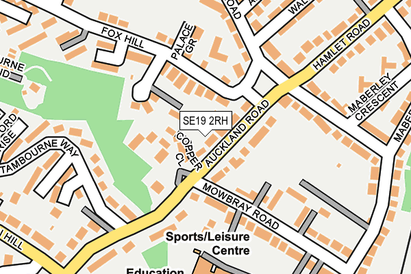 SE19 2RH map - OS OpenMap – Local (Ordnance Survey)