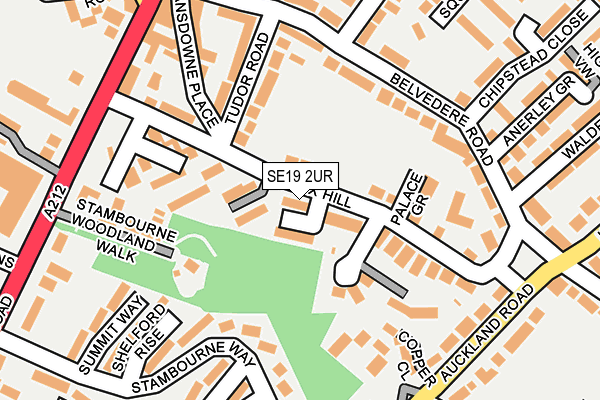SE19 2UR map - OS OpenMap – Local (Ordnance Survey)