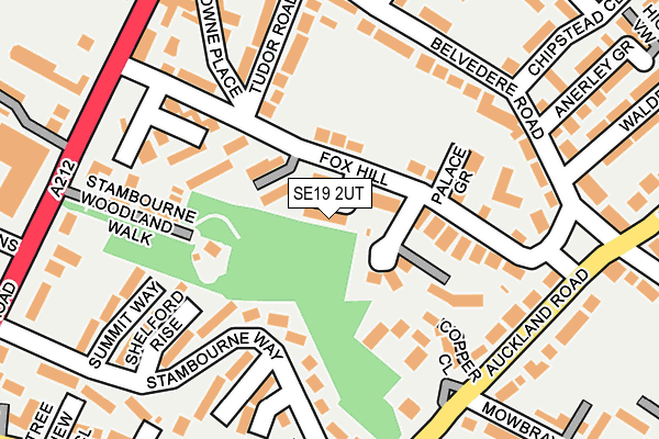 SE19 2UT map - OS OpenMap – Local (Ordnance Survey)
