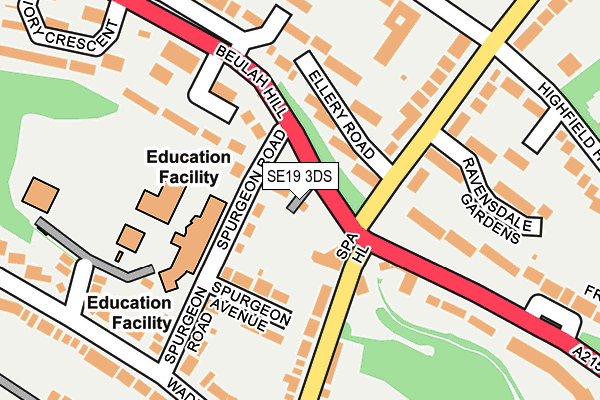 SE19 3DS map - OS OpenMap – Local (Ordnance Survey)