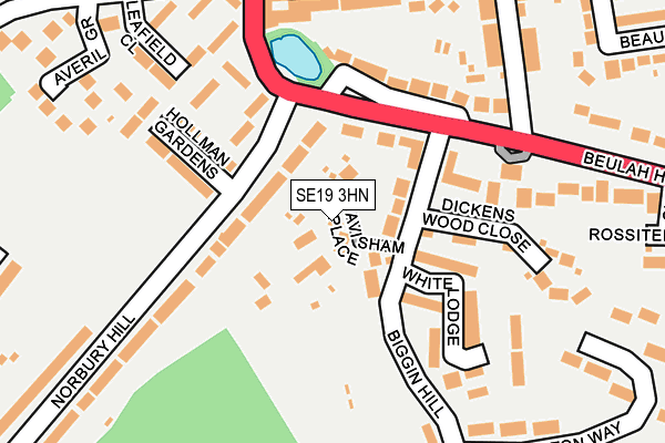 SE19 3HN map - OS OpenMap – Local (Ordnance Survey)