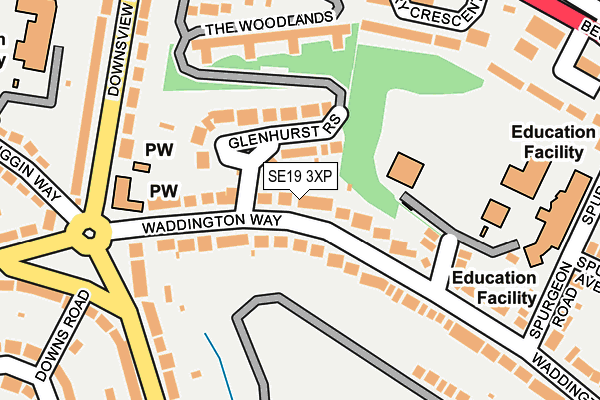 SE19 3XP map - OS OpenMap – Local (Ordnance Survey)
