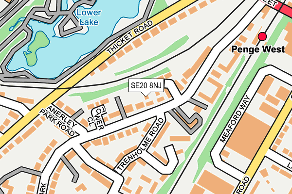 SE20 8NJ map - OS OpenMap – Local (Ordnance Survey)