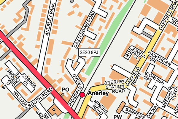 SE20 8PJ map - OS OpenMap – Local (Ordnance Survey)