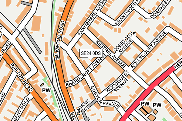 SE24 0DS map - OS OpenMap – Local (Ordnance Survey)