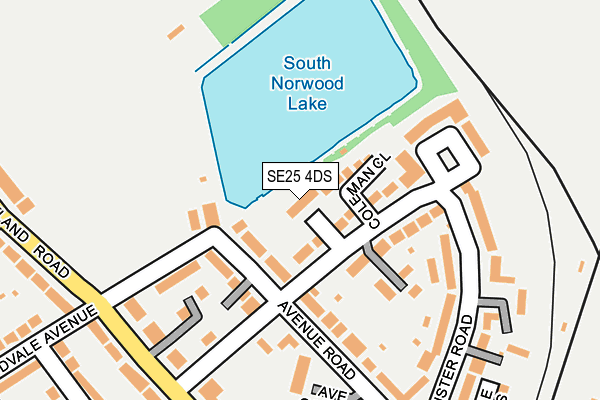 SE25 4DS map - OS OpenMap – Local (Ordnance Survey)