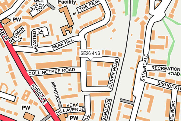 SE26 4NS map - OS OpenMap – Local (Ordnance Survey)