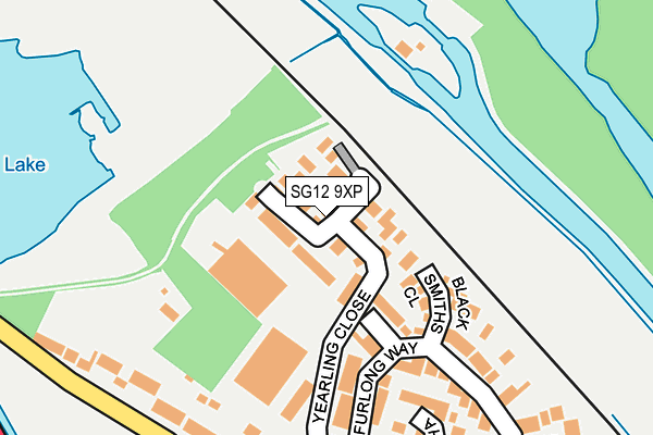 SG12 9XP map - OS OpenMap – Local (Ordnance Survey)