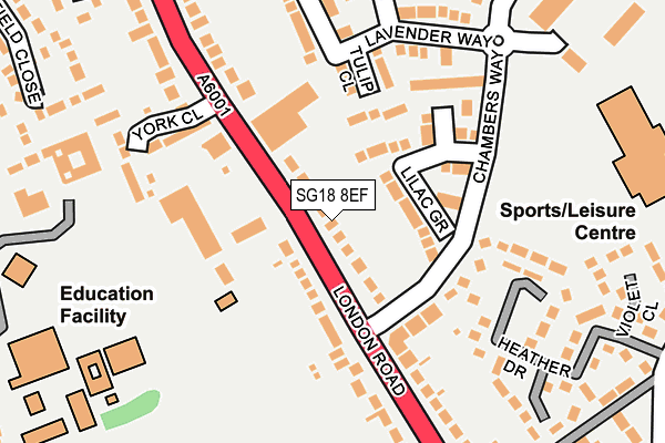 SG18 8EF map - OS OpenMap – Local (Ordnance Survey)