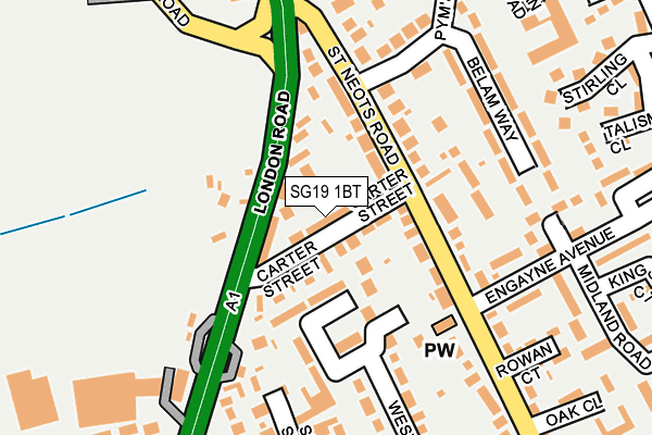 SG19 1BT map - OS OpenMap – Local (Ordnance Survey)