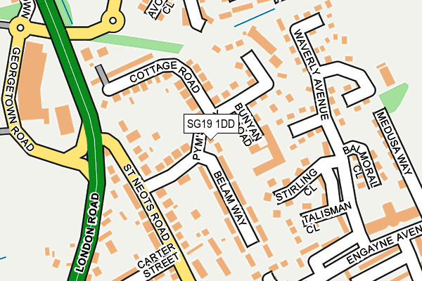 SG19 1DD map - OS OpenMap – Local (Ordnance Survey)