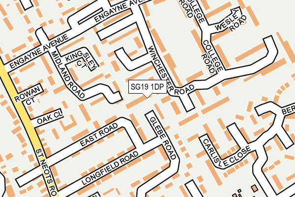 SG19 1DP map - OS OpenMap – Local (Ordnance Survey)