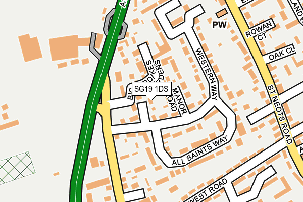 SG19 1DS map - OS OpenMap – Local (Ordnance Survey)