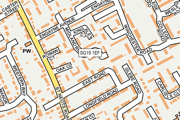 SG19 1EF map - OS OpenMap – Local (Ordnance Survey)