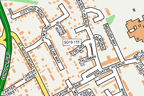 SG19 1TF map - OS OpenMap – Local (Ordnance Survey)
