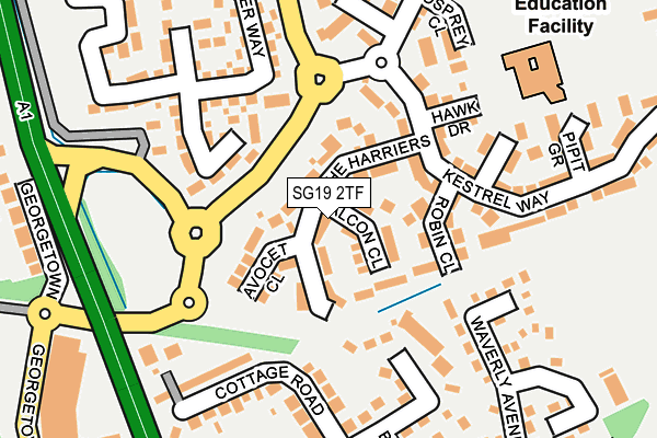 SG19 2TF map - OS OpenMap – Local (Ordnance Survey)