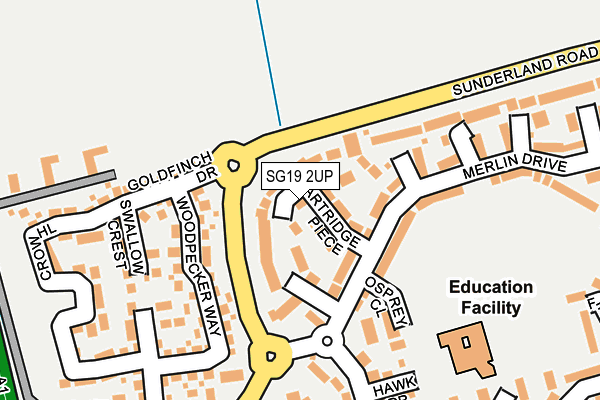 SG19 2UP map - OS OpenMap – Local (Ordnance Survey)